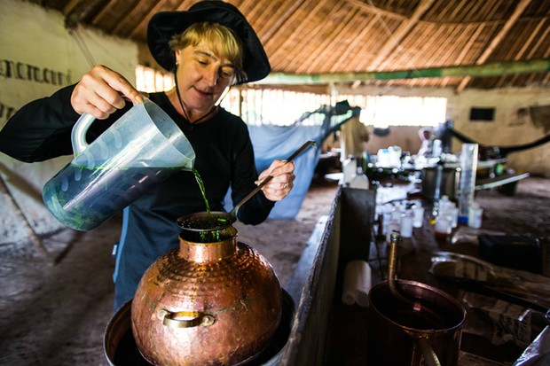 Lesley Gracie destilando a Cauda do Escorpião (Foto: Divulgação)