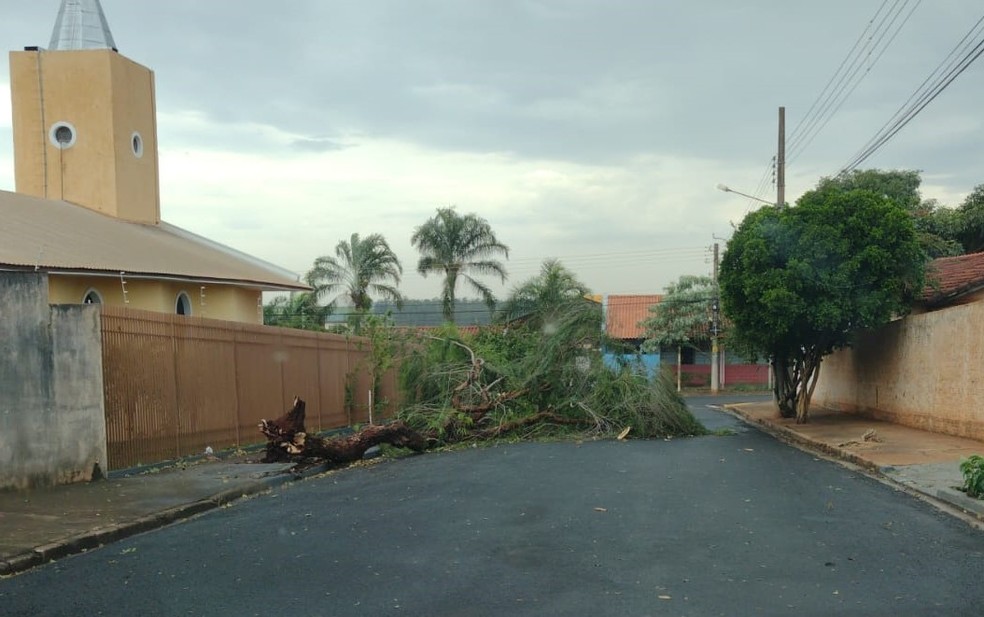 Ventania com chuva assusta moradores e derruba motos em Ourinhos — Foto: Arquivo pessoal