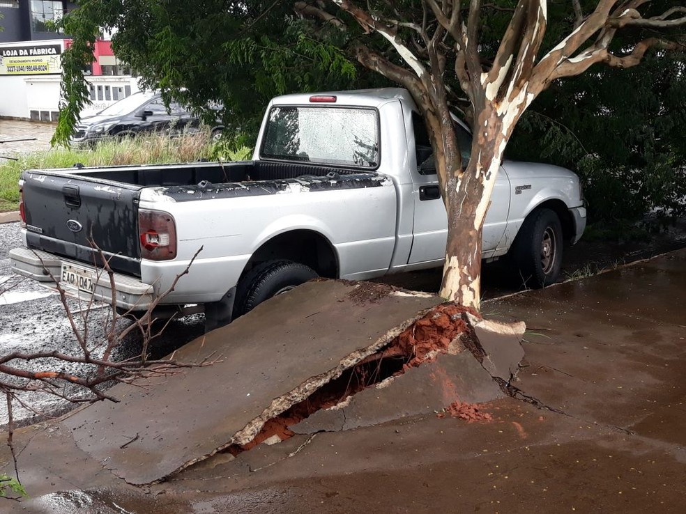 Chuva forte, com ventania e granizo, derruba árvores em Bauru (Foto: Fernando Oliver)