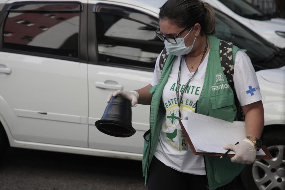 Agentes usam colete verde e identifica&ccedil;&atilde;o durante vistorias em Santos (SP) &mdash; Foto: Divulga&ccedil;&atilde;o/Prefeitura de Santos