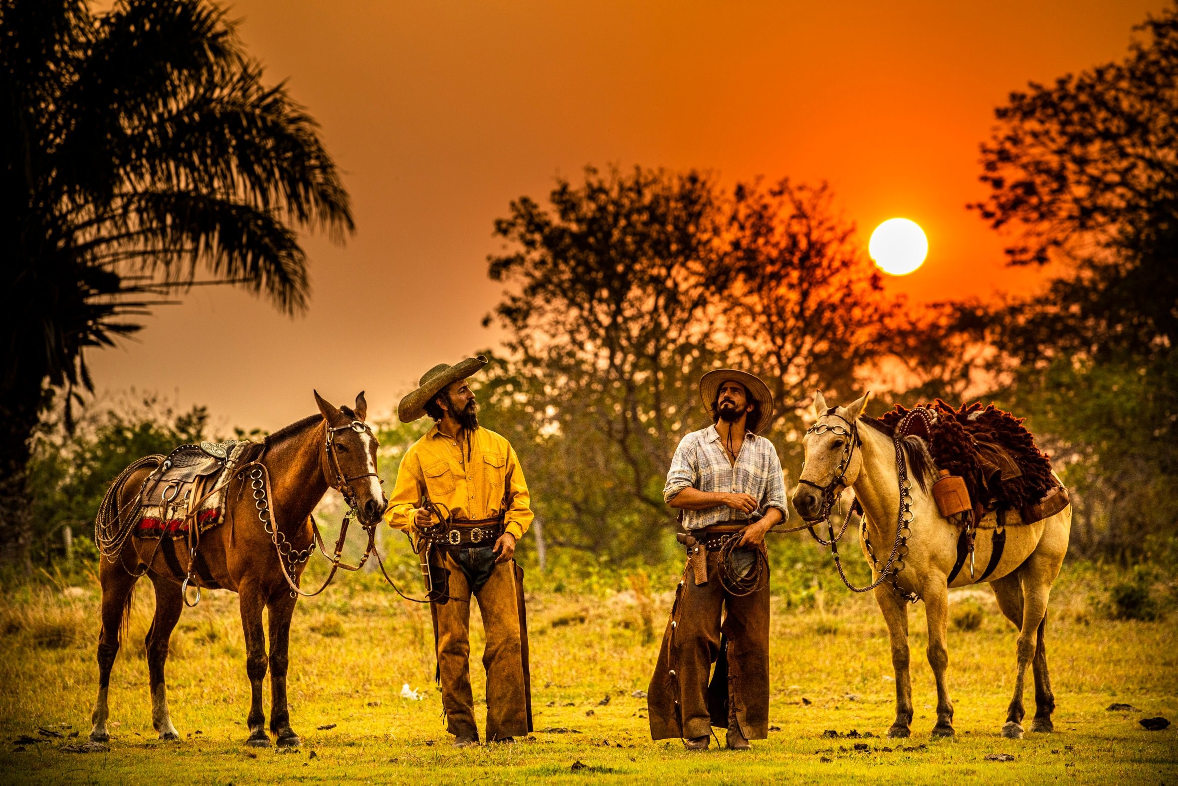 Hoje é dia do Pantanal - Revista Globo Rural