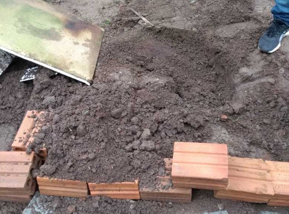 Vítima foi enterrada no pátio de sua casa (Foto: Polícia Civil/Divulgação)