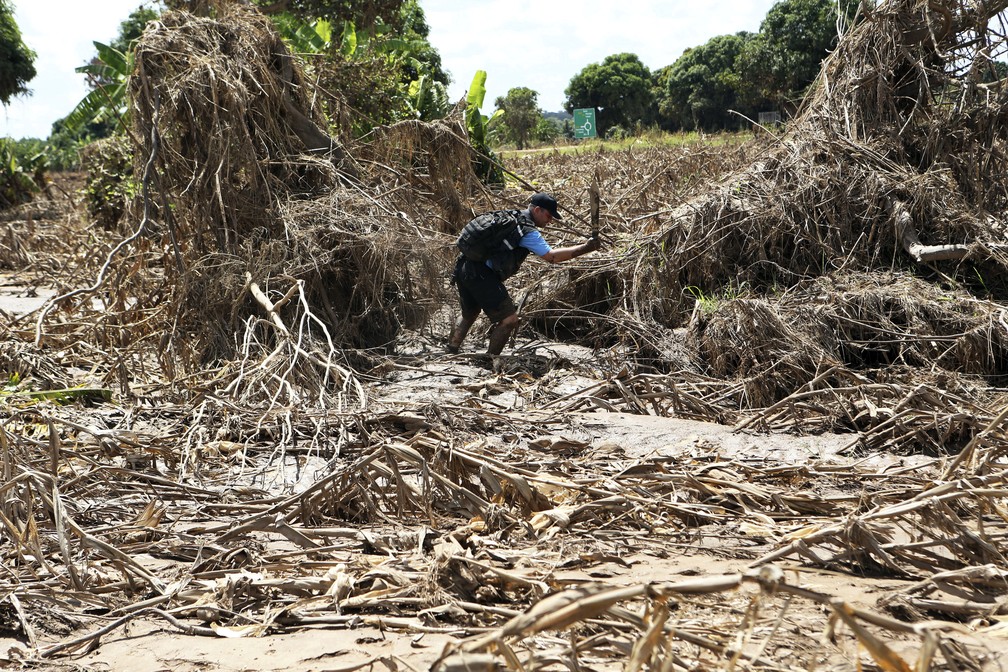 Homem procura por vítimas em destroços de milharal em Moçambique, após passagem do ciclone Idai — Foto: Tsvangirayi Mukwazhi/AP Photo