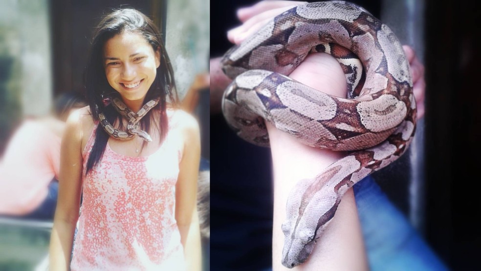 Nova namorada de Luva de Pedreiro, Távila se especializou em animais peçonhentos — Foto: Reprodução