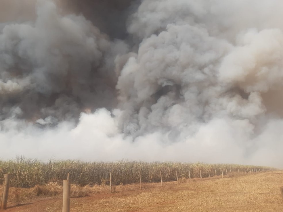 Fumaça se espalhou pelo canavial em Bocaina e encobriu parte da cidade  — Foto: Defesa Civil/ Divulgação 