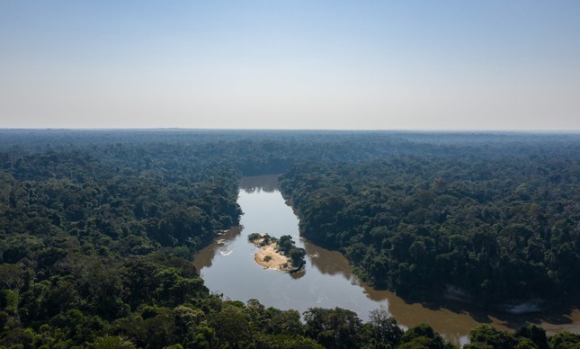 A Floresta Amazônica