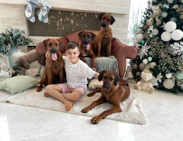 Filho de Ana Hickmann posa com cachorros (Foto: Reprodução/Instagram )