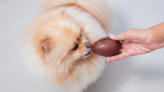 Cinco ovos de Páscoa e petiscos de chocolate liberados para cães e gatos