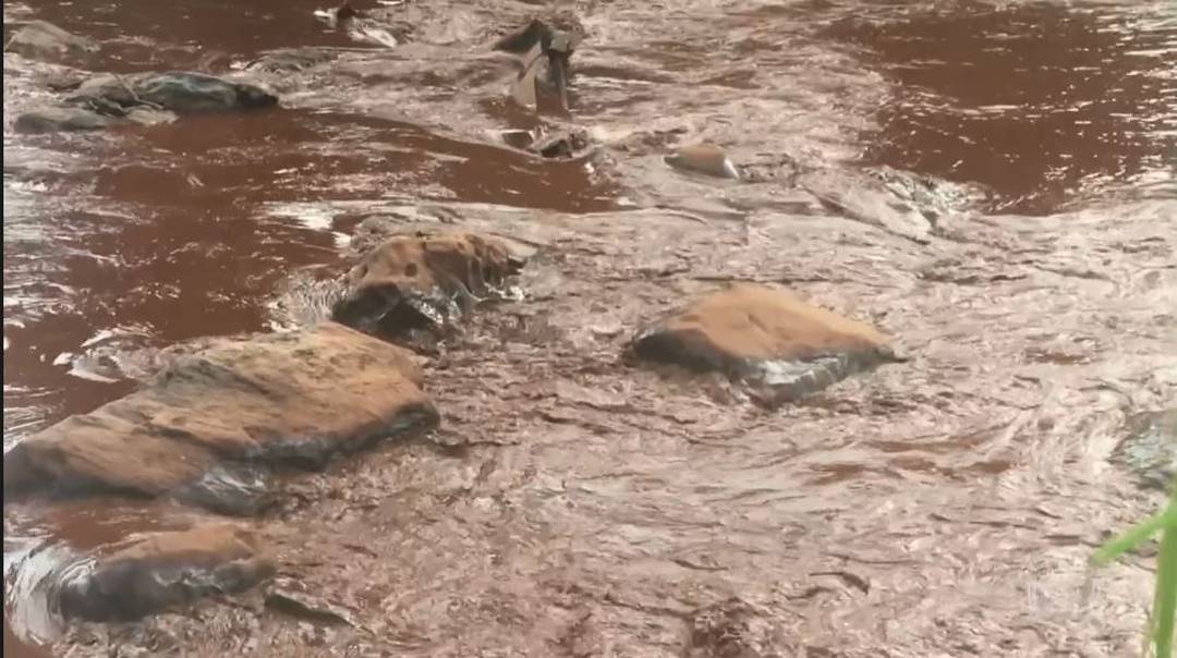 Rejeitos da mina da Vale coloriram de marrom as águas do Rio Paraopeba