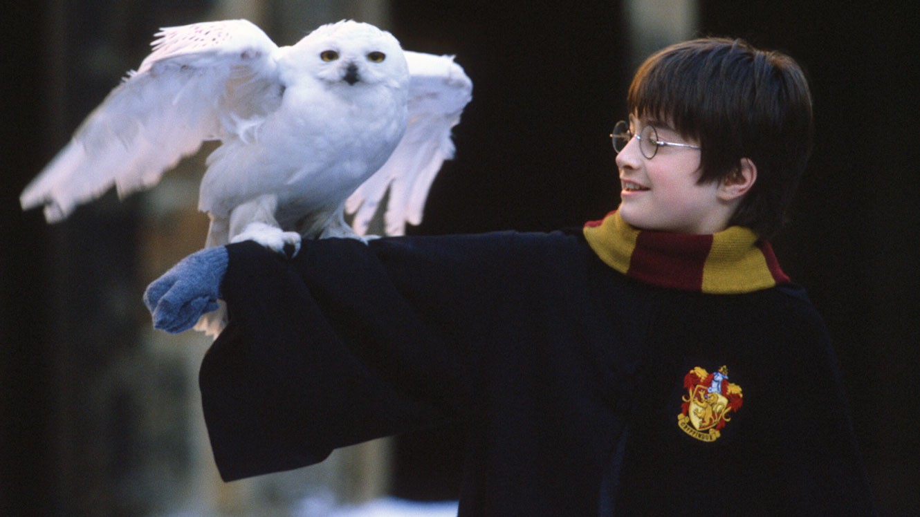 Há 20 anos, o primeiro volume de 'Harry Potter' chegava às livrarias da Inglaterra (Foto: Divulgação )