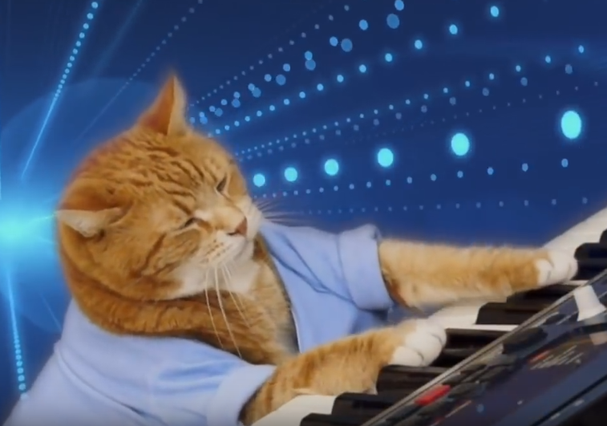 O Gatinho Bento Do Meme Do Keyboard Cat Morreu Revista Glamour Must Share