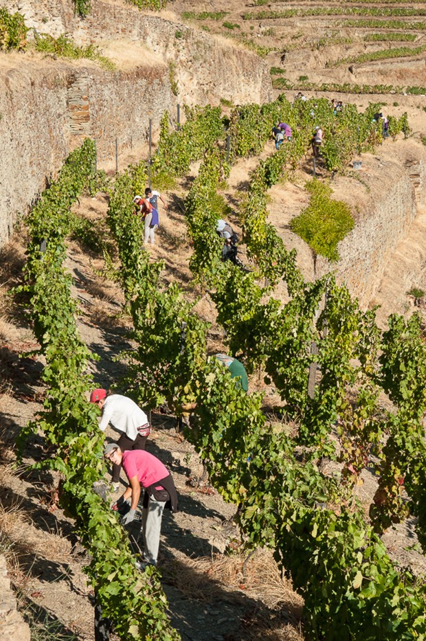 Roteiro de viagem: as vinícolas e paisagens naturais da região do Douro (Foto: Photo For Press/ divulgação)