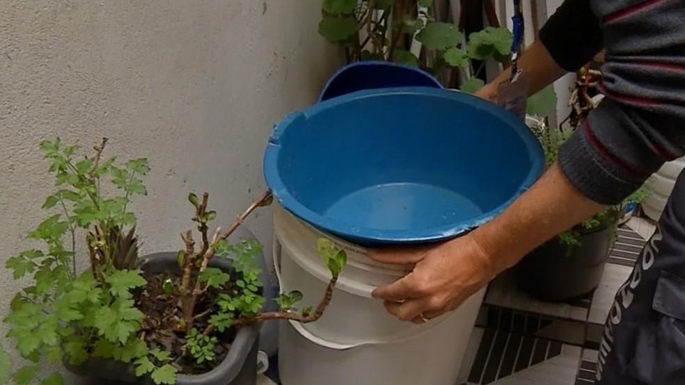 Paraíba tem 404 novos casos prováveis de arboviroses em 2023 — Foto: Reprodução/ TV Diário