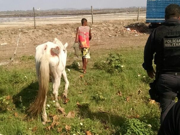 Dono de cavalo e de loja foram autuados, mas liberados (Foto: Divulgação / Polícia Militar)