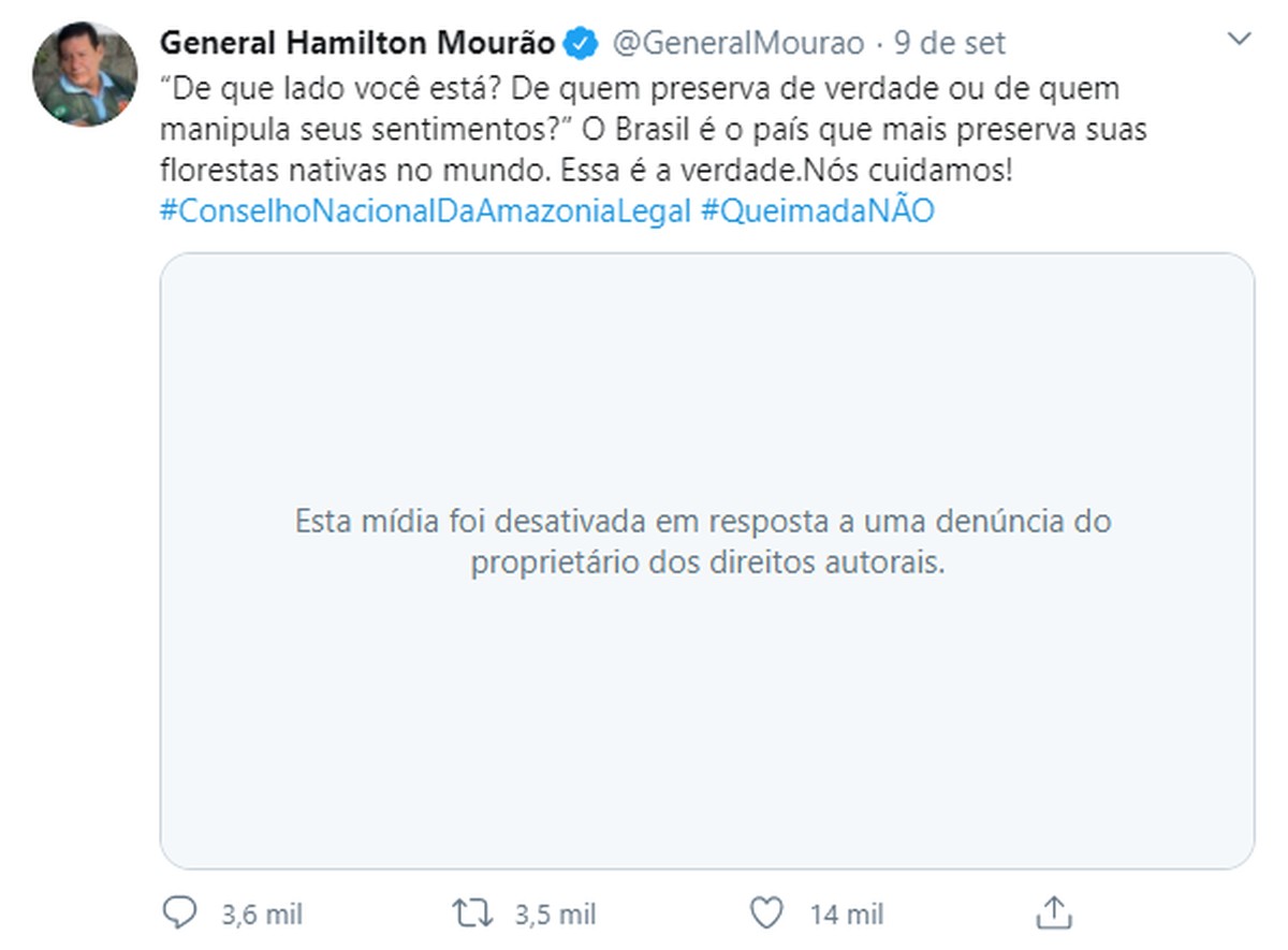 Vídeo que nega queimadas na Amazônia, compartilhado por Mourão e Salles, usa imagens do Greenpeace sem autorização