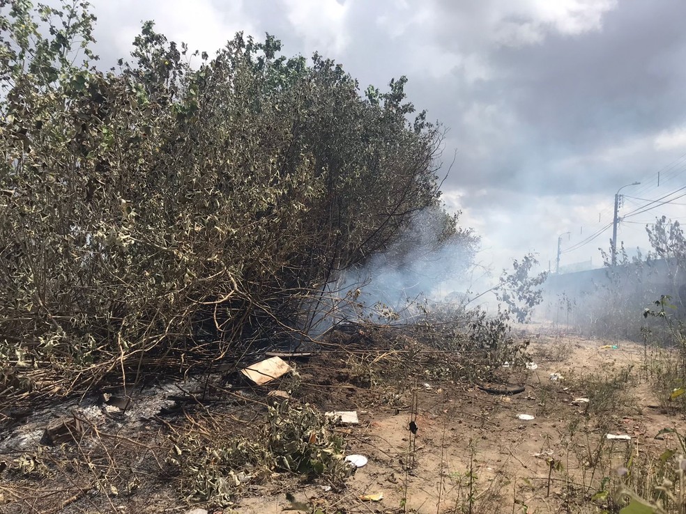 Inc&ecirc;ndio atinge terreno abandonado de f&aacute;brica de refrigerantes na Grande Natal &mdash; Foto: Ayrton Freire/Inter TV Cabugi