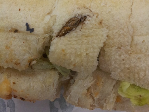 Sanduíche com barata encontrada assada no pão (Foto: Issac Newton Santos)