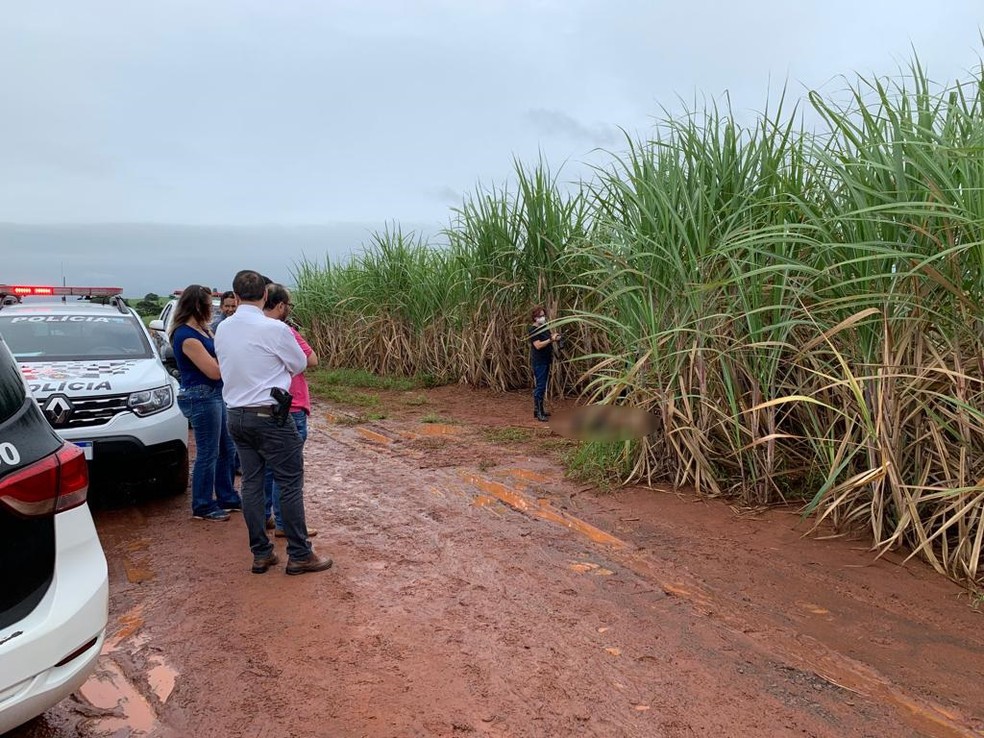 Homem é encontrado morto em canavial — Foto: Arquivo/TV Fronteira 