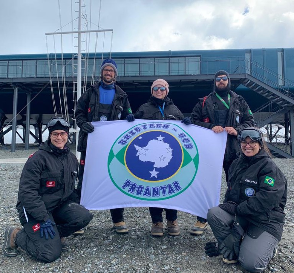 Brasileiros Retomam Pesquisas Na Antartica E Mostram Rotina No Continente Polar Fotos Distrito Federal G1