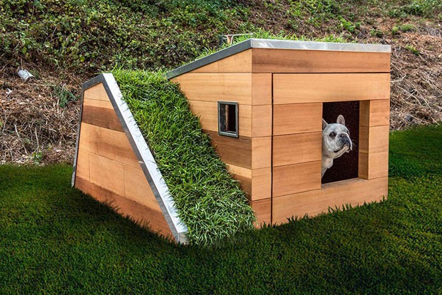 Casinha de cachorro com telhado verde