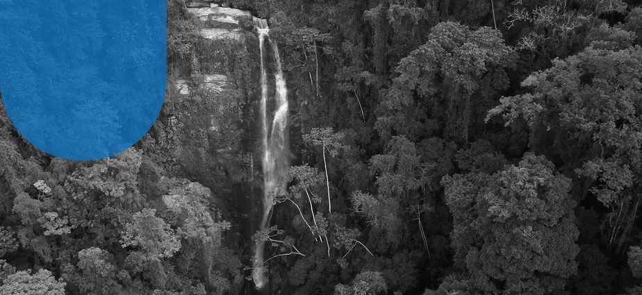 Cachoeira na reserva biológica do Tinguá: biodiversidade