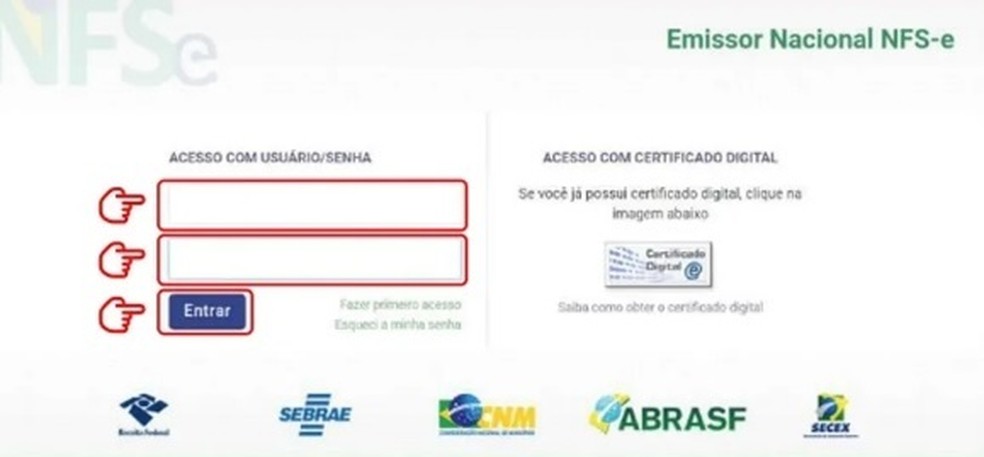 Faça o acesso com as suas credenciais — Foto: Reprodução