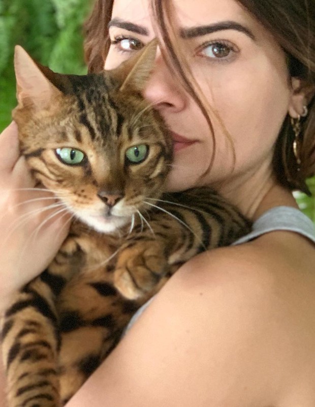 Vanessa Giacomo lamenta morte de seu gatinho de estimação (Foto: Reprodução/Instagram)
