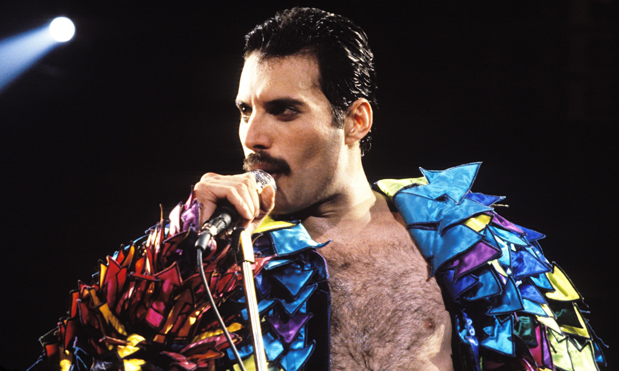 Freddie Mercury, vocalista da banda Queen. (Foto: Divulgação)
