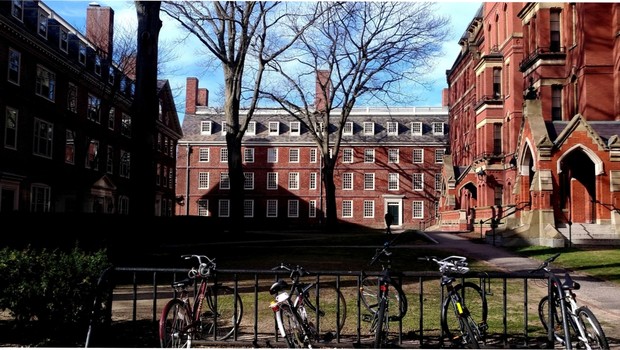 Universidade Harvard (Foto: Barbara Bigarelli)