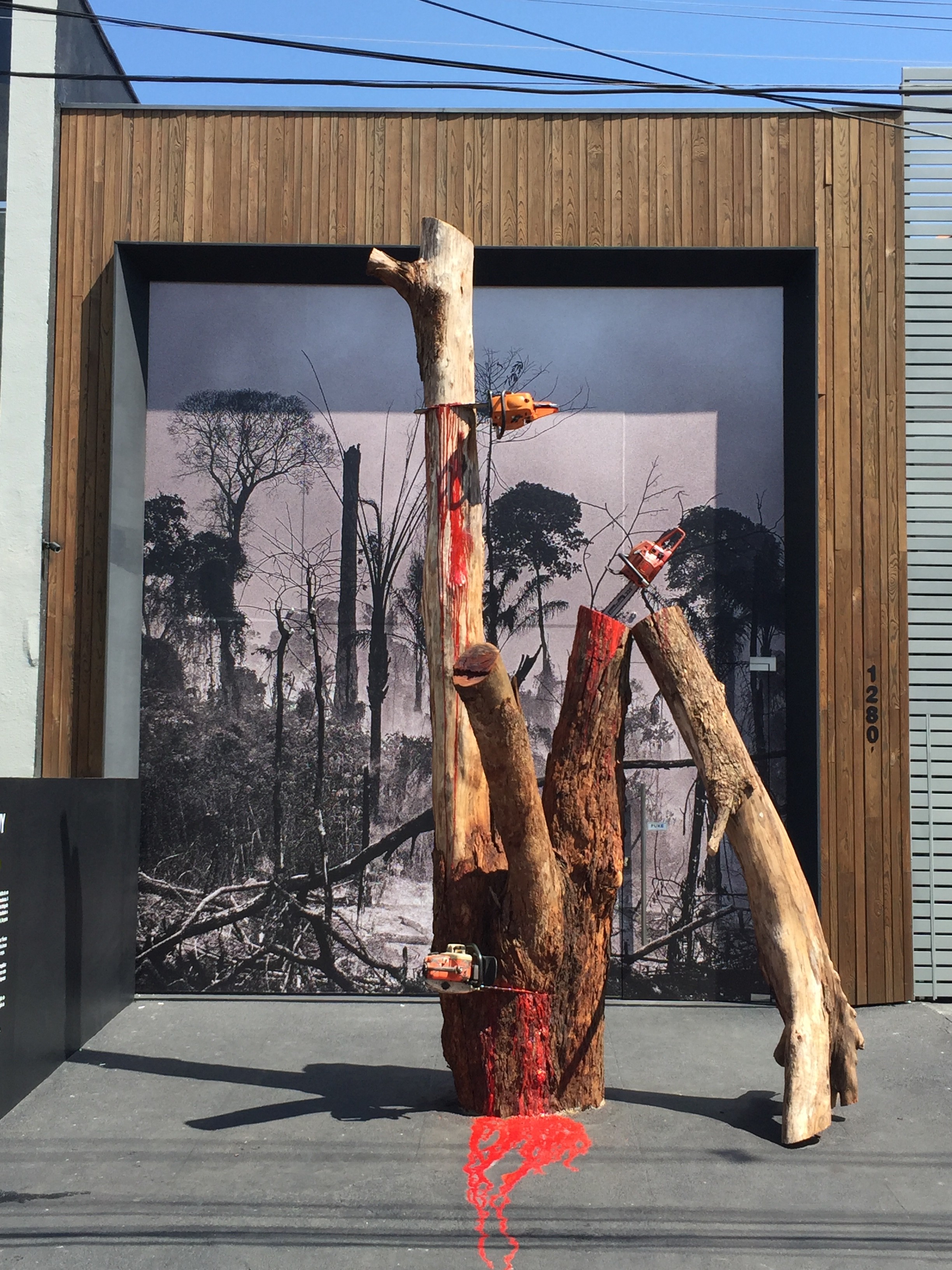 Artista cria obra com árvore sangrando como alerta ao desmatamento (Foto: Divulgação)