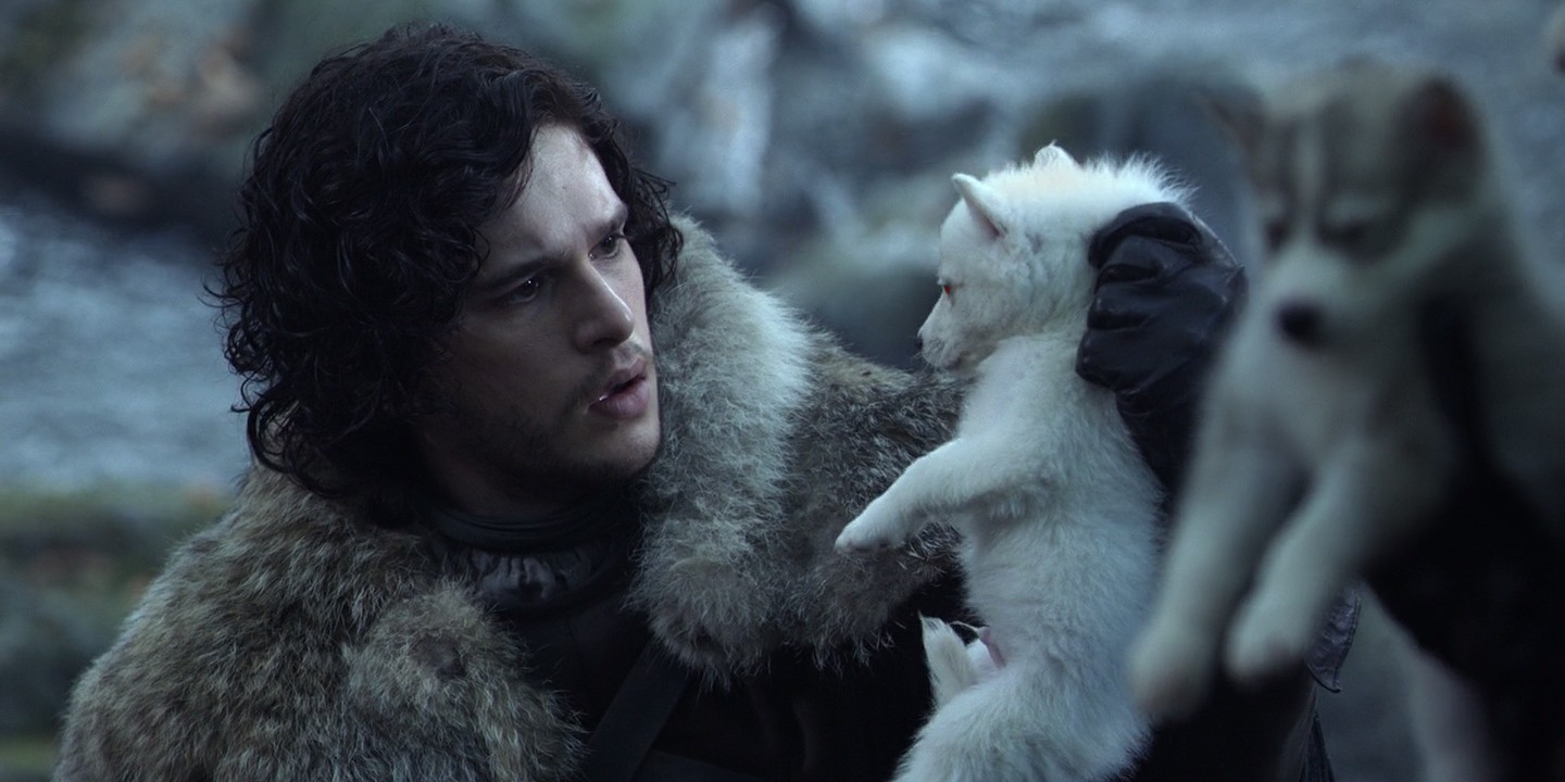 Jon Snow encontra Fantasma, lobo gigante que o acompanha por Westeros (Foto: Reprodução/HBO)