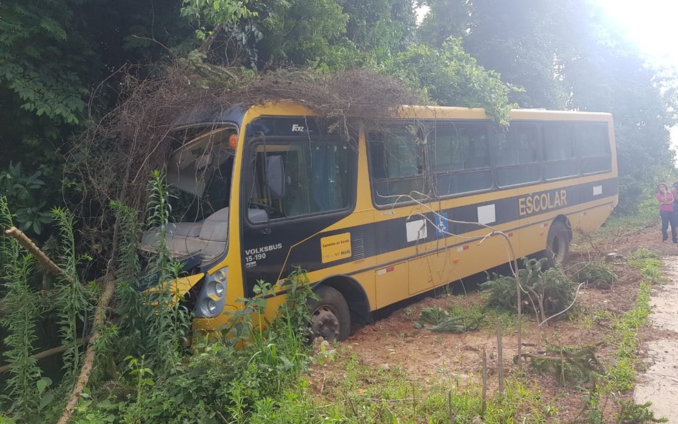 Ônibus escolar perde freio e bate em árvores na estrada do Ribeirão Fundo, em Munhoz, MG — Foto: Polícia Militar