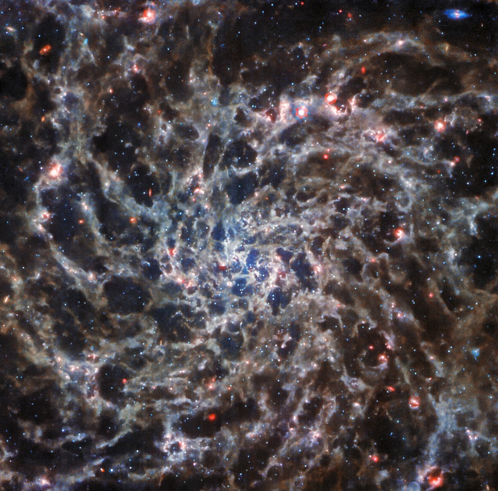 A galáxia IC 5332 e seus "ossos cósmicos", em nova foto do James Webb. — Foto: NASA/ESA/Divulgação