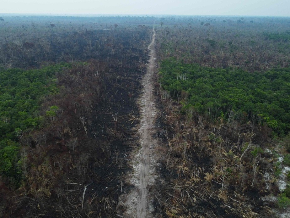 Área devastada na Amazônia