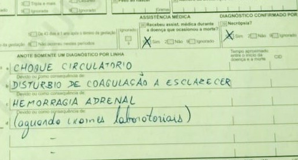Laudo oficial deve ficar pronto em 30 dias — Foto: Arquivo pessoal