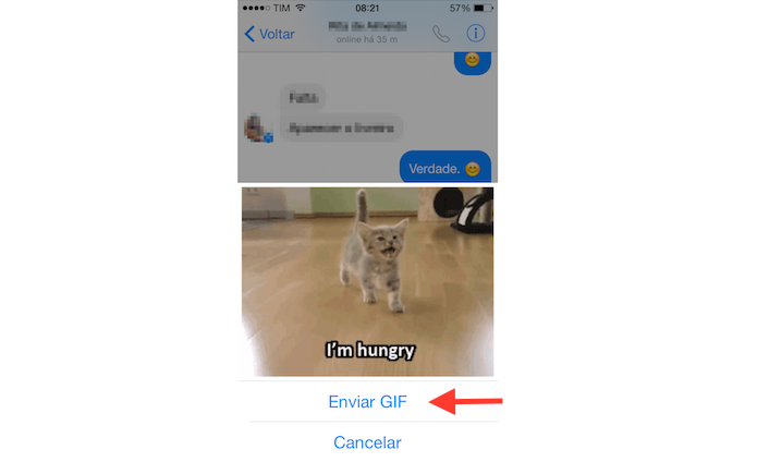 Messenger consegue enviar GIFs animados para amigos (Foto: Reprodução/Marvin Costa)