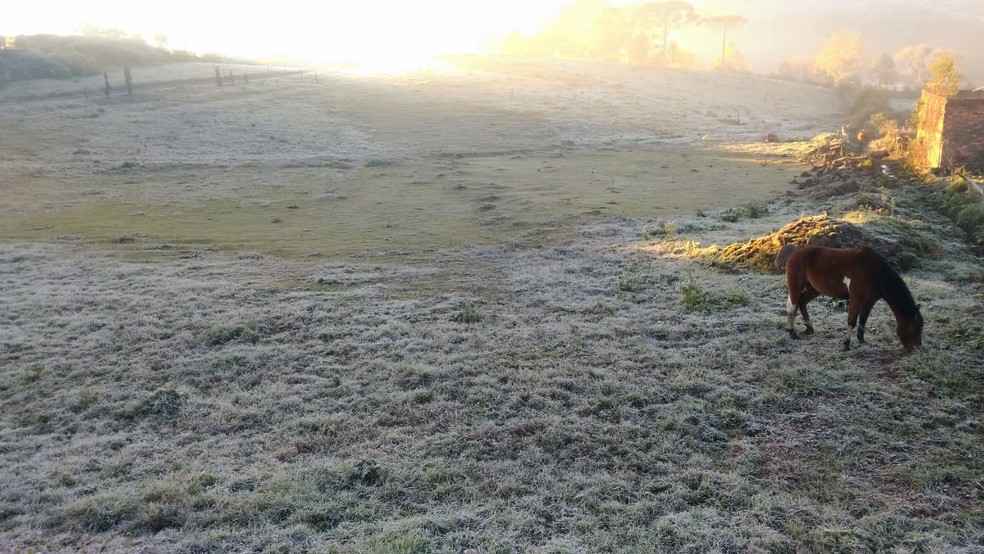 Amanhecer em São Joaquim (Foto: Wagner Urbano/ Arquivo pessoal)