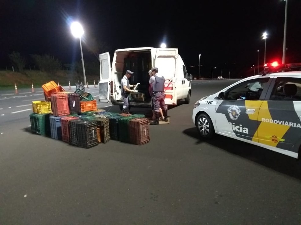 Droga e veículo foram apreendidos; motorista foi encaminhado para a penitenciária de Marília — Foto: Polícia Rodoviária/Divulgação