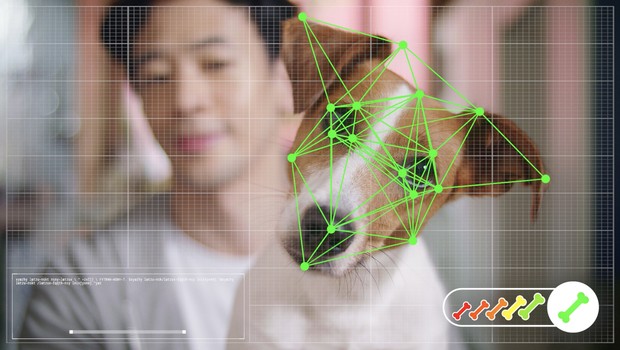 O software foi alimentado com mais de 20 mil imagens de cachorros; a análise dos dados identificou os elementos visuais que mostram o interesse dos pets (Foto: Divulgação) O software foi alimentado com mais de 20 mil imagens de cachorros de raça e vira-latas e consegue saber se o seu cão gostou ou não de um brinquedo (Foto: Divulgação)