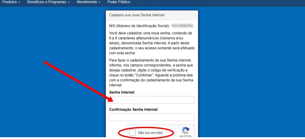 Escolha uma senha segura para usar na consulta dos dados do FGTS — Foto: Reprodução/Barbara Ablas