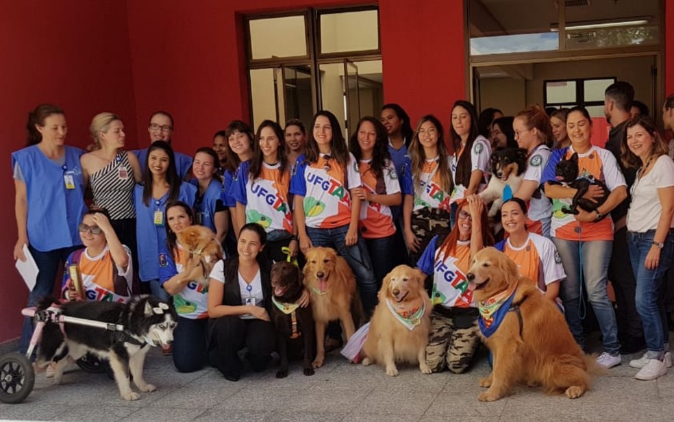 Grupo de funcionários do Crer e tutores com os cães 'terapeutas' no Crer, em Goiânia, Goiás — Foto: Yanka Araújo/TV Anhanguera