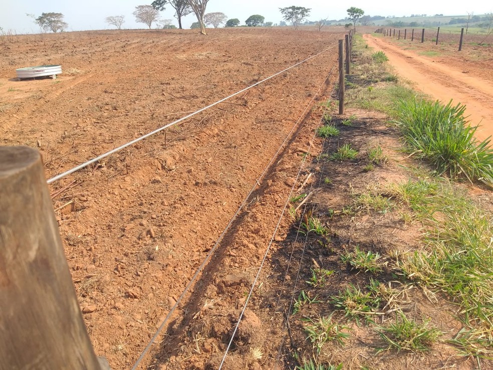 Sitiante recebeu multa por atear fogo em área de vegetação em Álvares Machado — Foto: Polícia Militar Ambiental