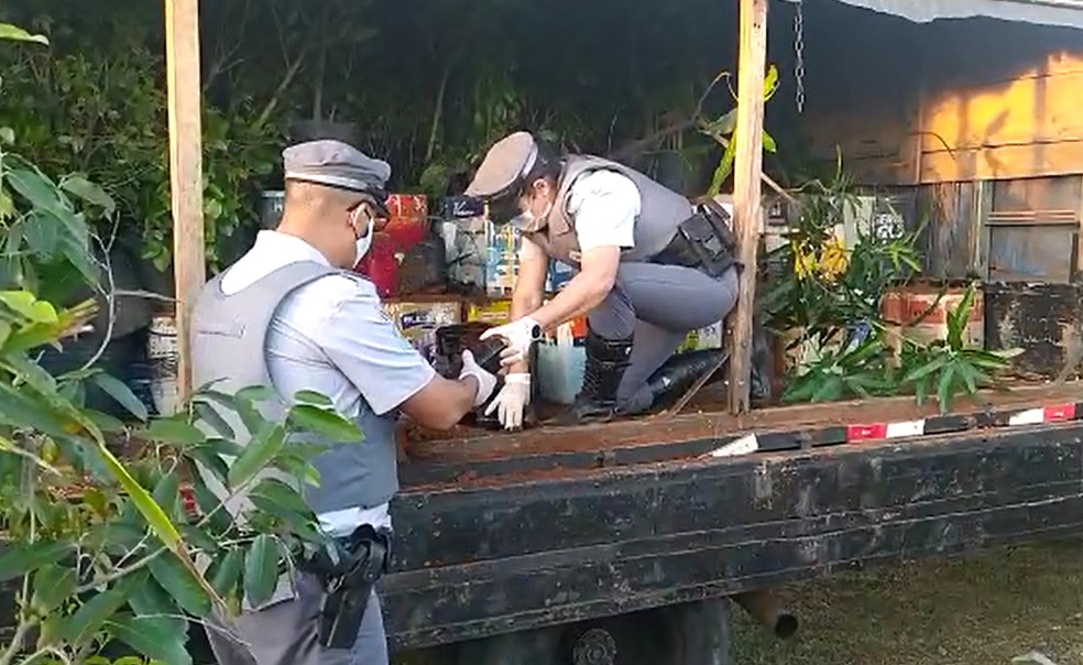 Caminhonete com plantas foi abordada em Botucatu — Foto: Polícia Rodoviária/Divulgação