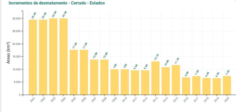 Índice de desmatamento no Cerrado cresceu 12,3% entre 2019 e 2020. (Foto: Inpe)