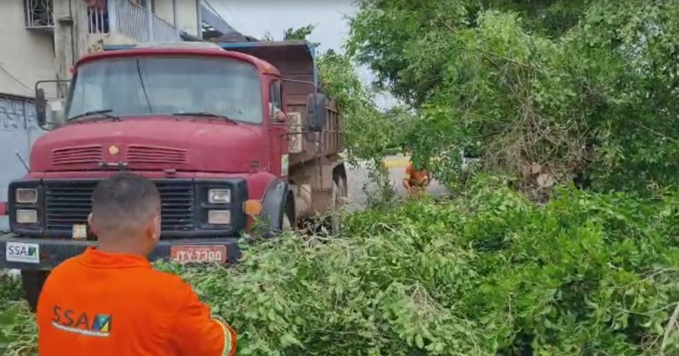 Equipes da prefeitura retiram árvores que caíram durante temporal em Marabá. — Foto: Reprodução / TV Liberal