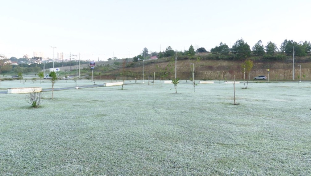 Manhã de frio e geada em Ponta Grossa, nos Campos Gerais do Paraná — Foto: Paulo Martins/RPC