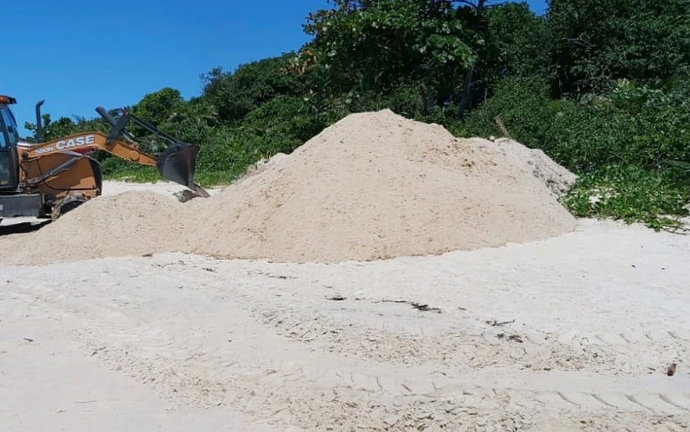 Filhote de baleia é achado morto em destino turístico no extremo sul da Bahia. — Foto: Departamento de Fiscalização Ambiental / Divulgação 