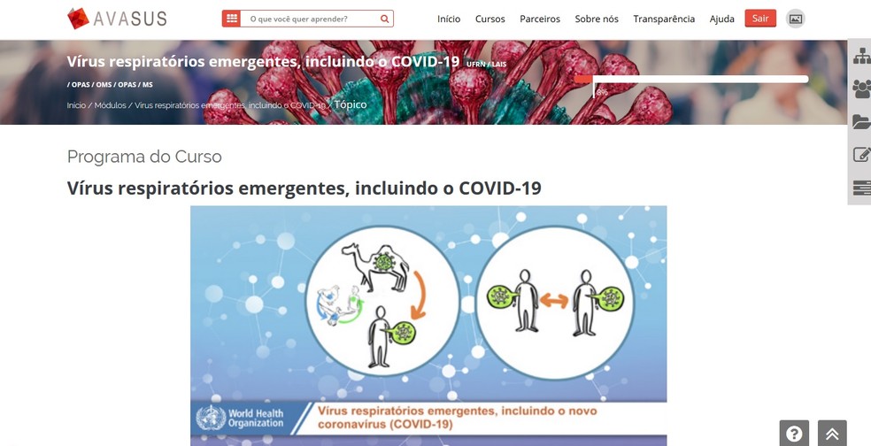 Curso que conta informações gerais sobre o coronavírus — Foto: Reprodução