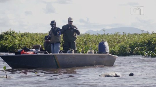 Falta de fiscais prejudica combate a crimes ambientais no Pantanal