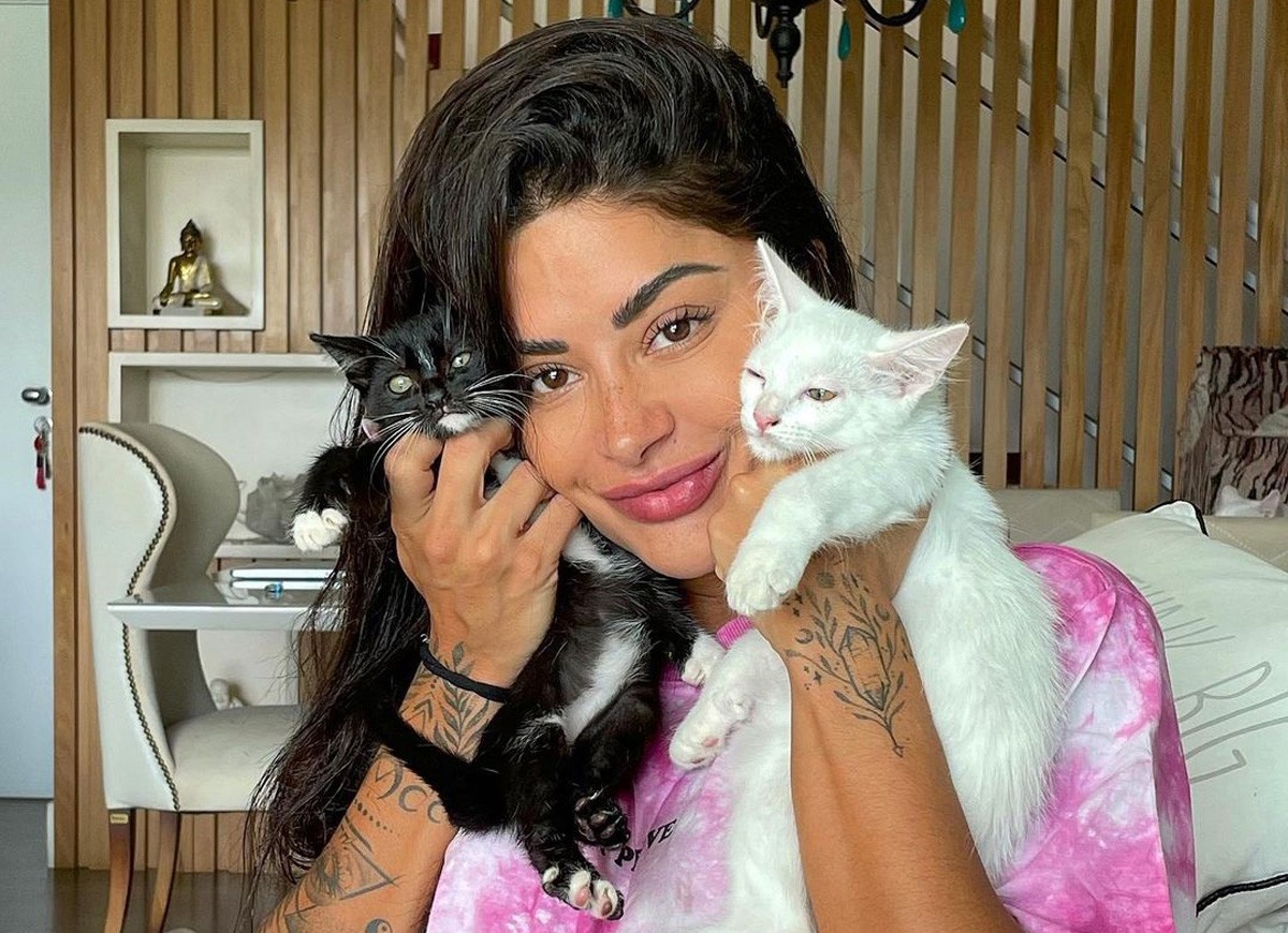 Aline Riscado com 2 de seus 16 gatos (Foto: Reprodução/Instagram)